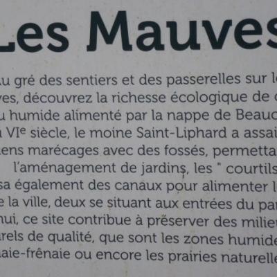 Les Mauves 06/02/2014
