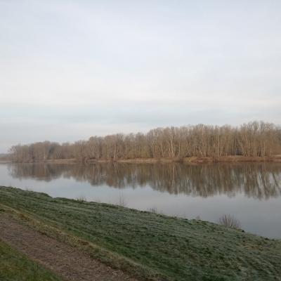 Muides sur Loire / ST Dyé 15/02/2023