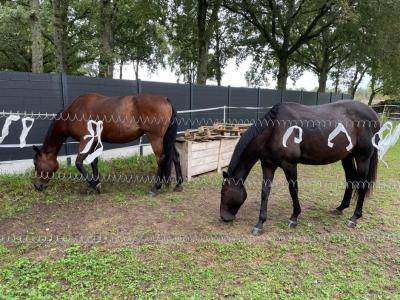 Img 20240925 wa0000 2