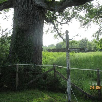 Le chêne de Saint Louis et son calvaire à Villenouan